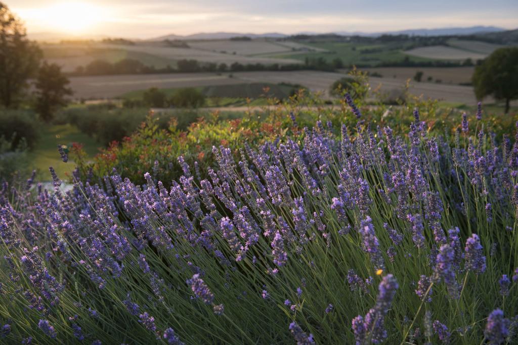 Tenuta Dei Mori-Wine Relais Events Villanova  Экстерьер фото