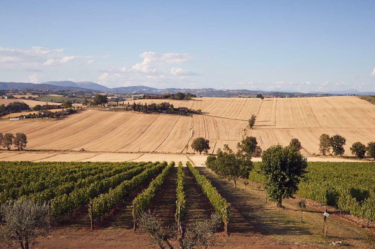Tenuta Dei Mori-Wine Relais Events Villanova  Экстерьер фото